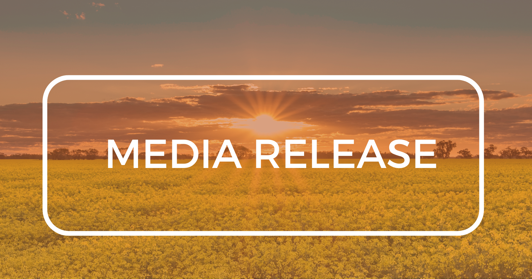 Media Release: Carinda and Marthaguy Roads to receive safety upgrades - Post Image