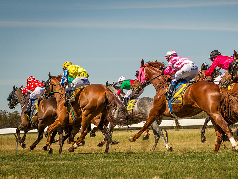 Cattleman's Cup Race Meeting